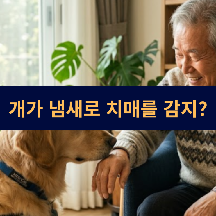  개가 냄새로 치매를 감지하는 과학적 원리와 논문 요약 및 반려견이 후각으로 알아내는 질병들