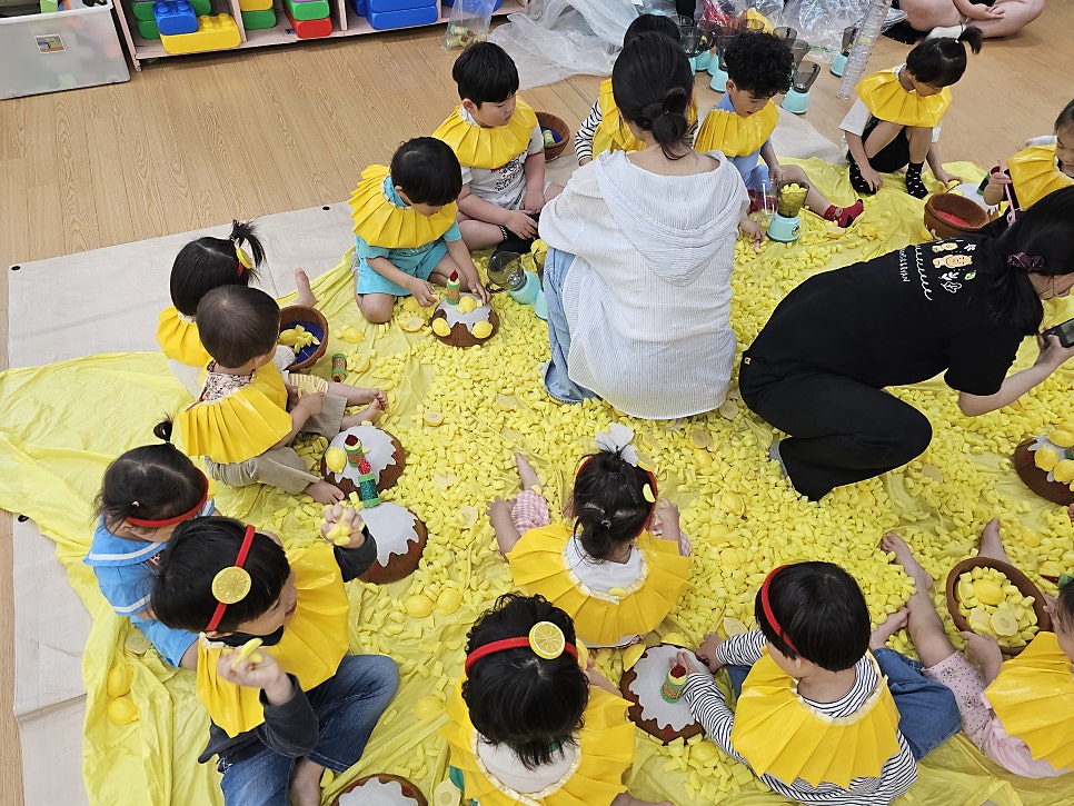 레몬트리 사진 5