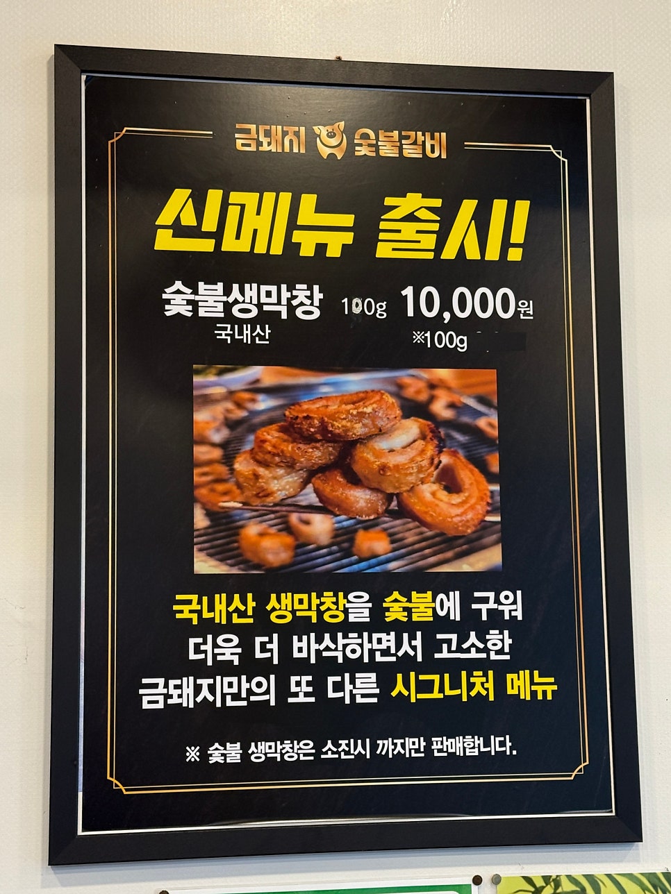 금돼지 사진 3