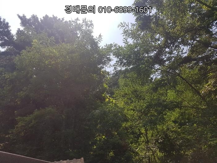 인천 강화군 양사면 인화리 6번지, 미래 가치 품은 농림/보전/계획관리지역 복합 토지 경매 물건의 현명한 투자를 주식회사 제이옥션과 함께 시작하세요 2021-515069 [2]