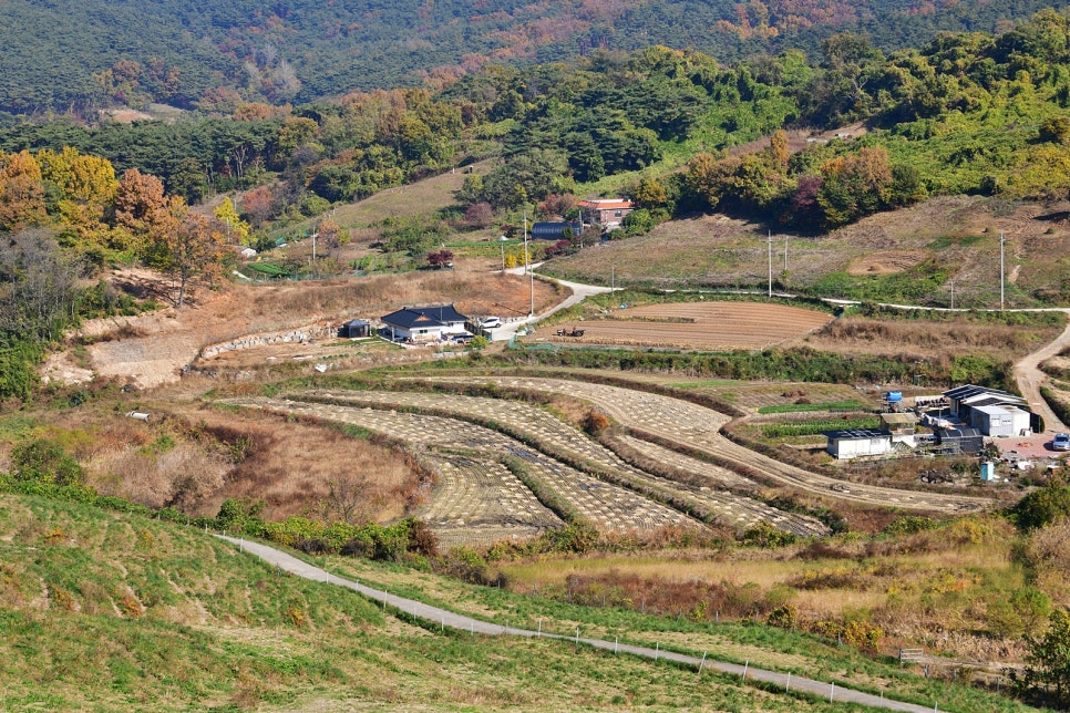 용유지 사진 6