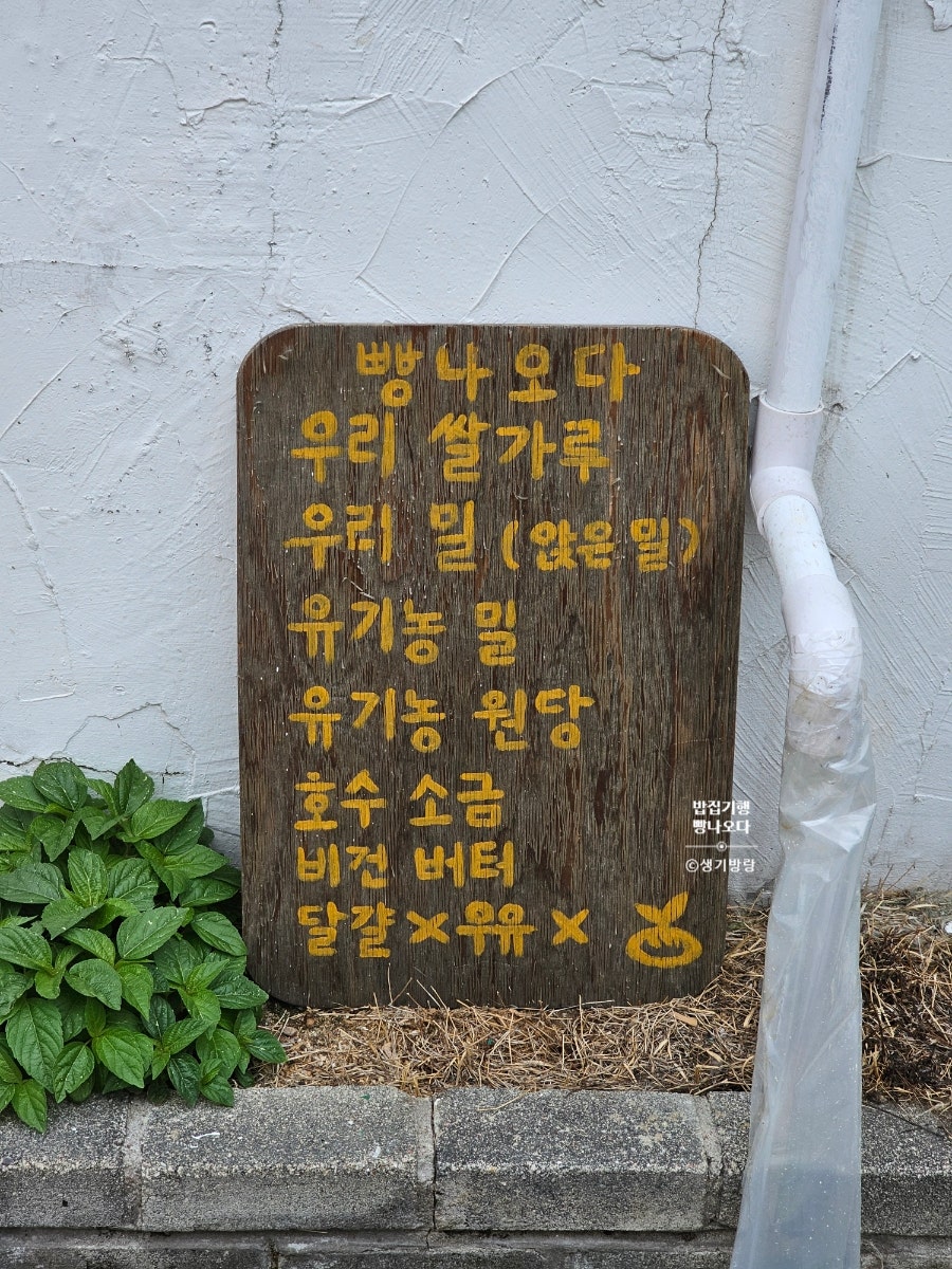 빵나오다 사진 5
