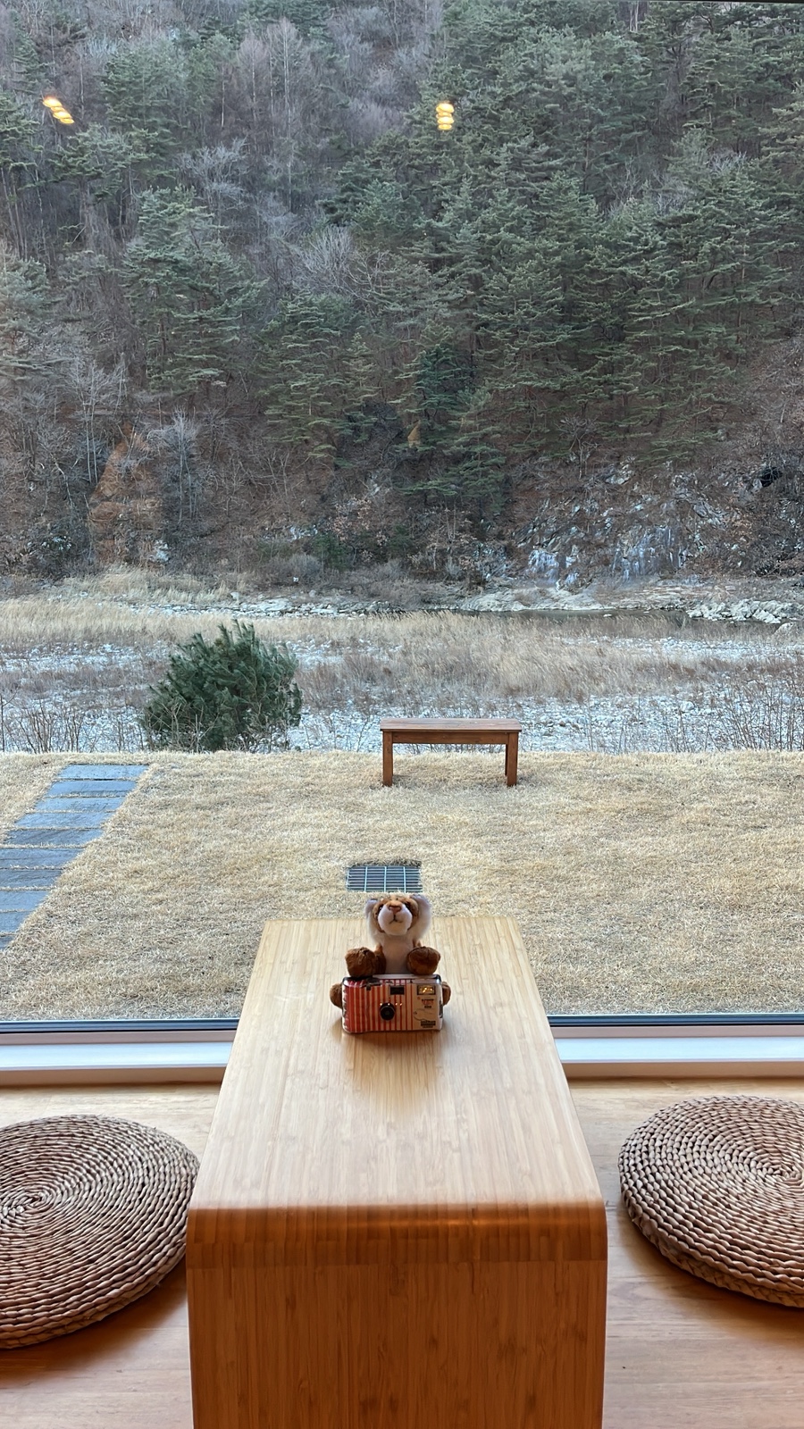 스테이봉정 사진 6