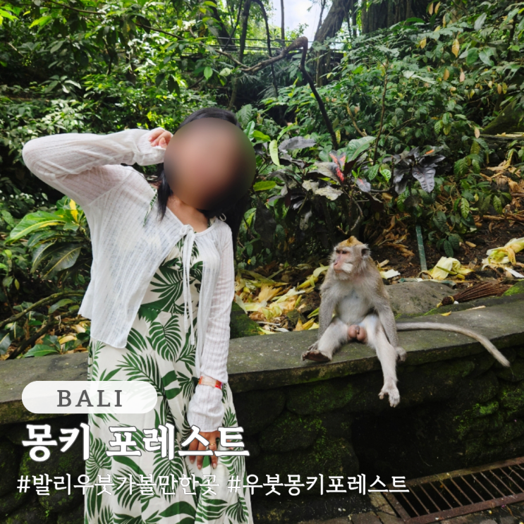 우붓 여행 가볼 만한 곳 몽키 포레스트 입장료 소요시간