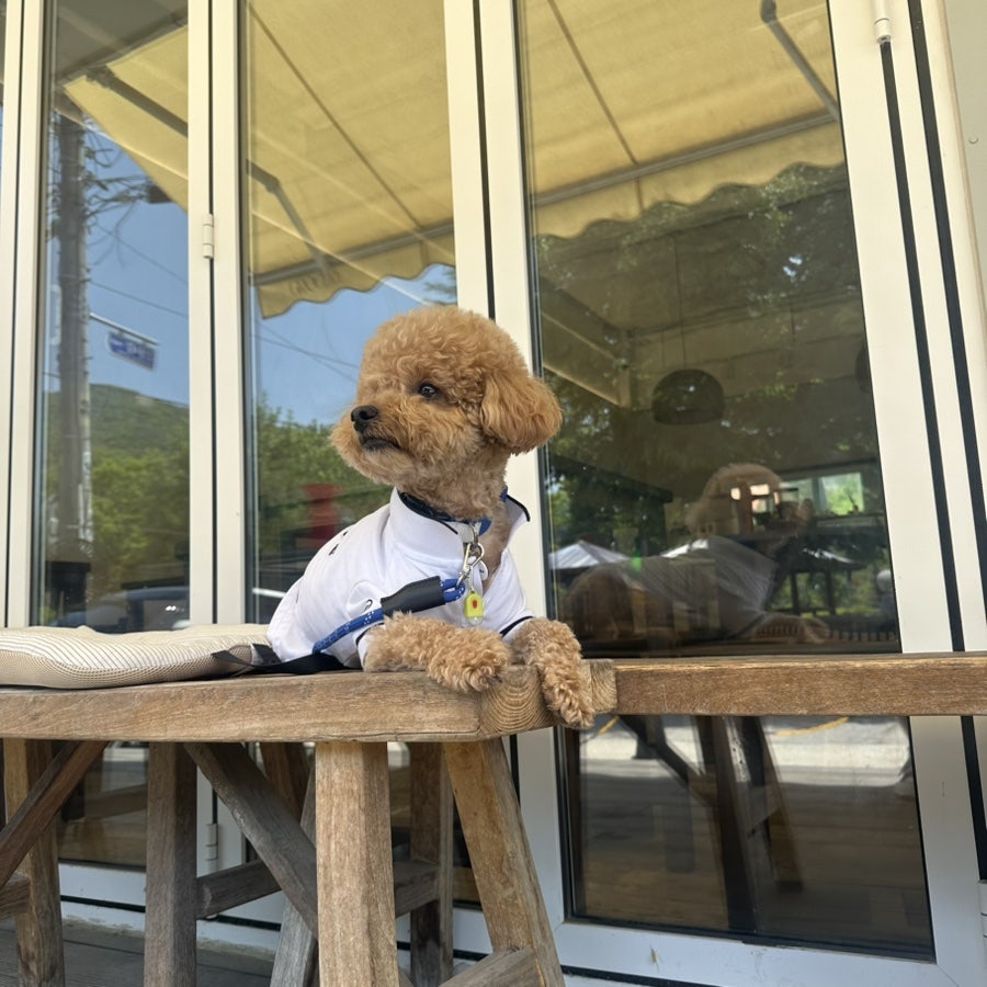 우프하우스 사진 6