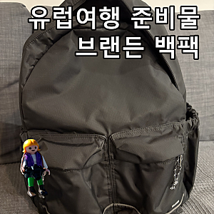 내 짐은 내가 지킨다! 유럽여행 필수품 브랜든 백팩
