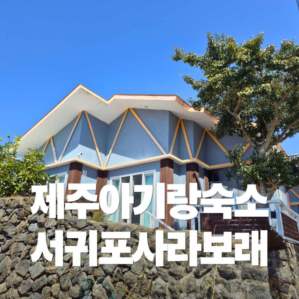 사라보래 사진 1