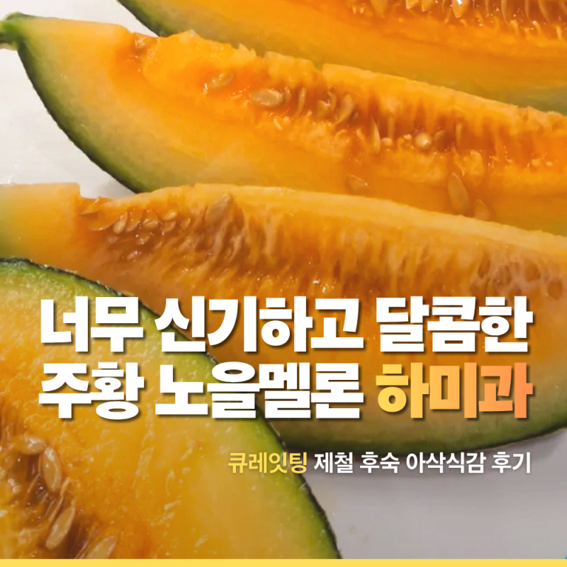 주황색 노을 멜론 고당도 하미과메론 너무 신기하고 달콤한 제철 후숙 아삭식감 후기