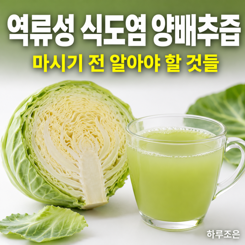 역류성 식도염 양배추즙, 마시기 전 알아야 할 것들