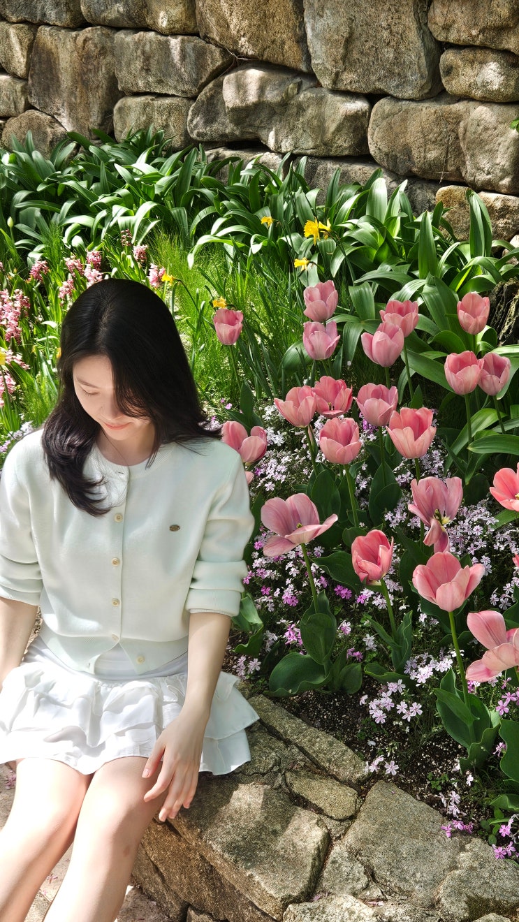  서울의 잠 잘 이루는 밤