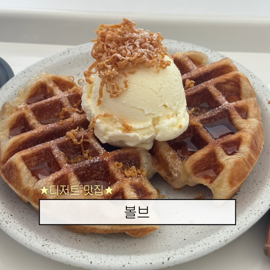 볼브 사진 1