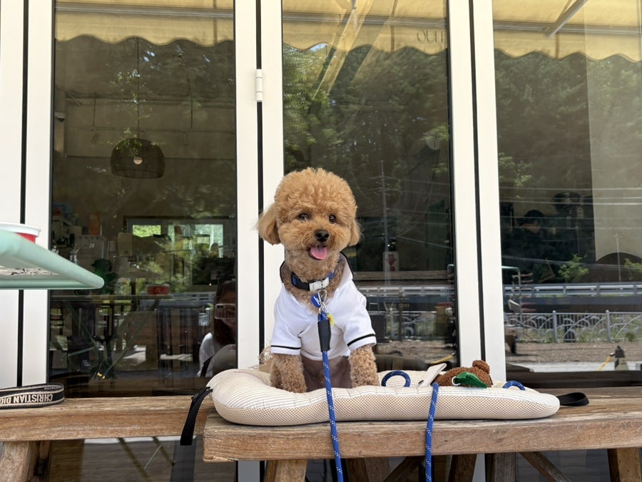 우프하우스 사진 4