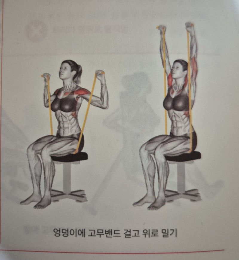목디스크 운동 피드백.