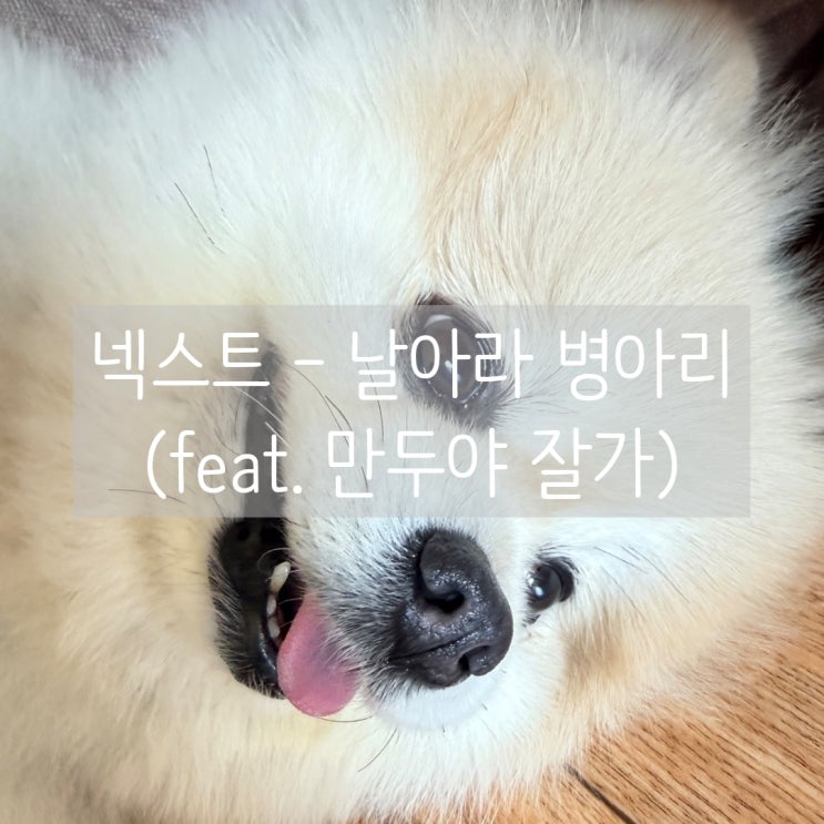  감성 발라드 추천 | 넥스트 - 날아라병아리 (feat. 만두야 잘가)