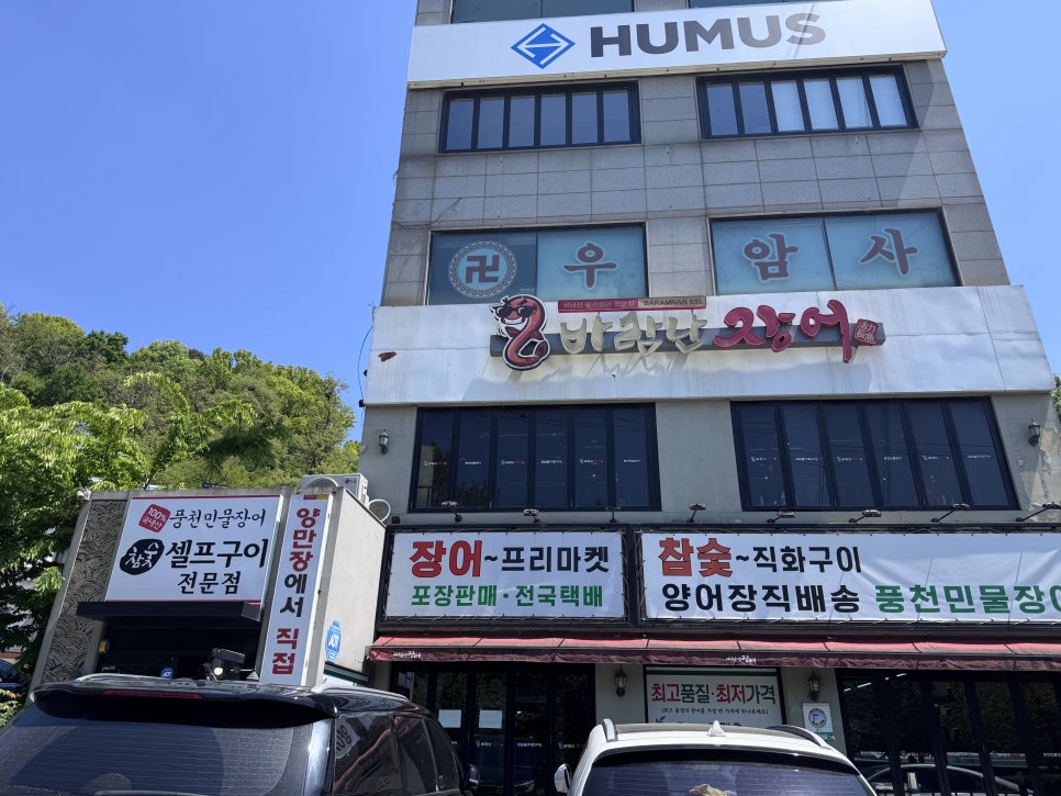 바람난장어 사진 1