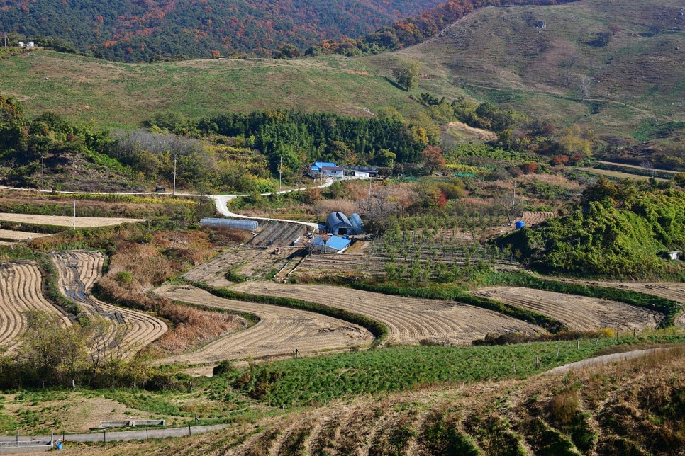 용유지 사진 3