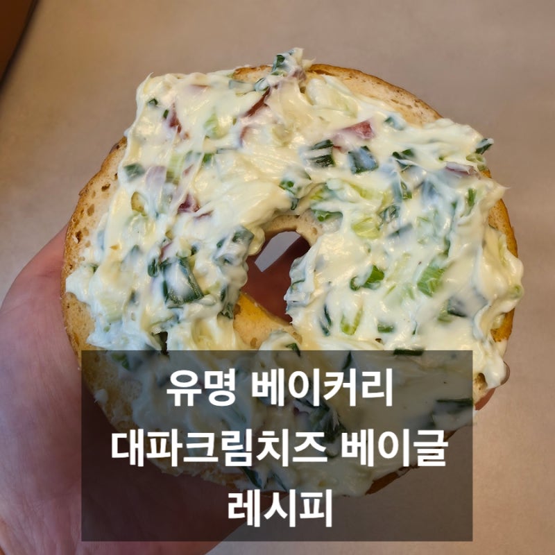 대파크림치즈 베이글 사먹지 마세요