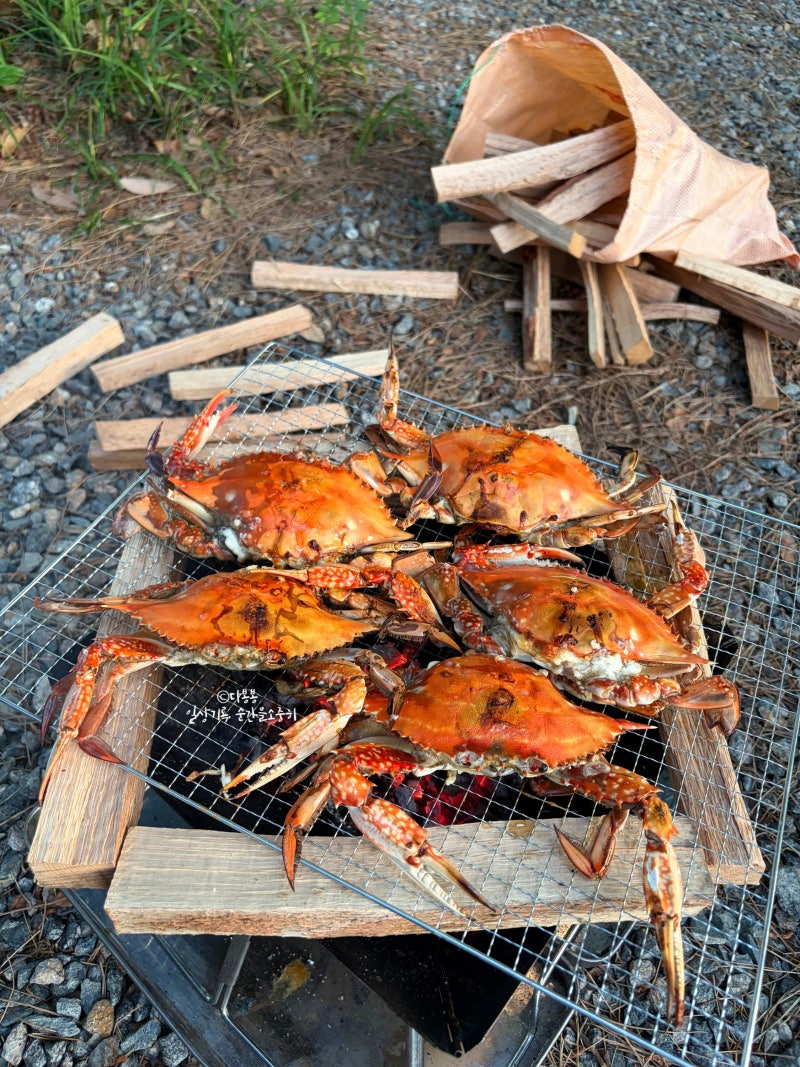 숯불에 구운 꽃게마요구이 간단한데 맛있는 캠핑푸드추천 그리고 그밖에 광양 배알도 솔밭13....