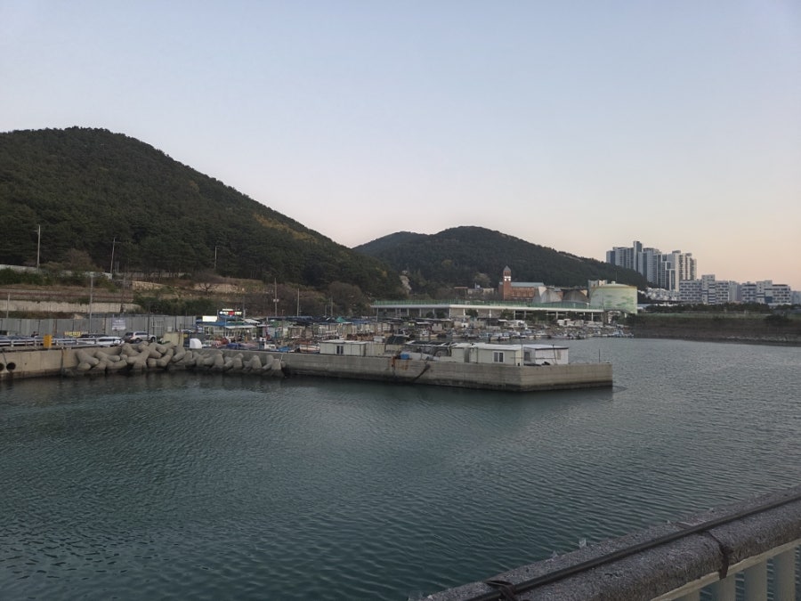 흥광호 사진 3