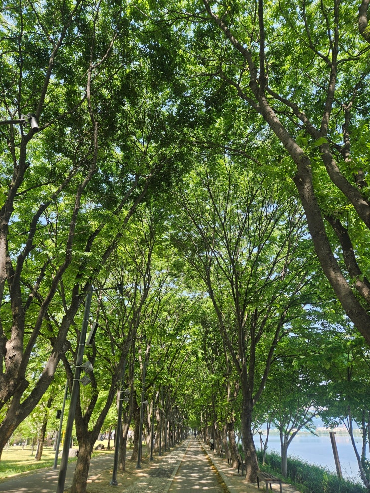  [춘천/카페] 찐감성 데이트코스 추천! 의암호 뷰맛집 댄싱카페인 베이커리 내돈내산 솔직리포트