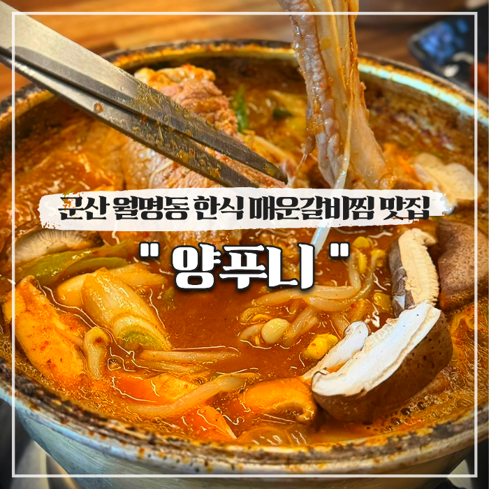  군산 월명동 한식, 매운갈비찜 맛집 양푸니 내돈내산
