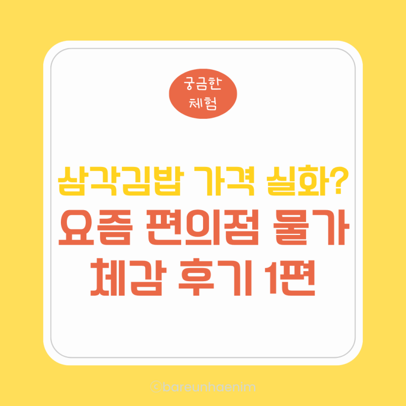 삼각김밥 가격 실화? | 요즘 편의점 물가 체감 후기 1편