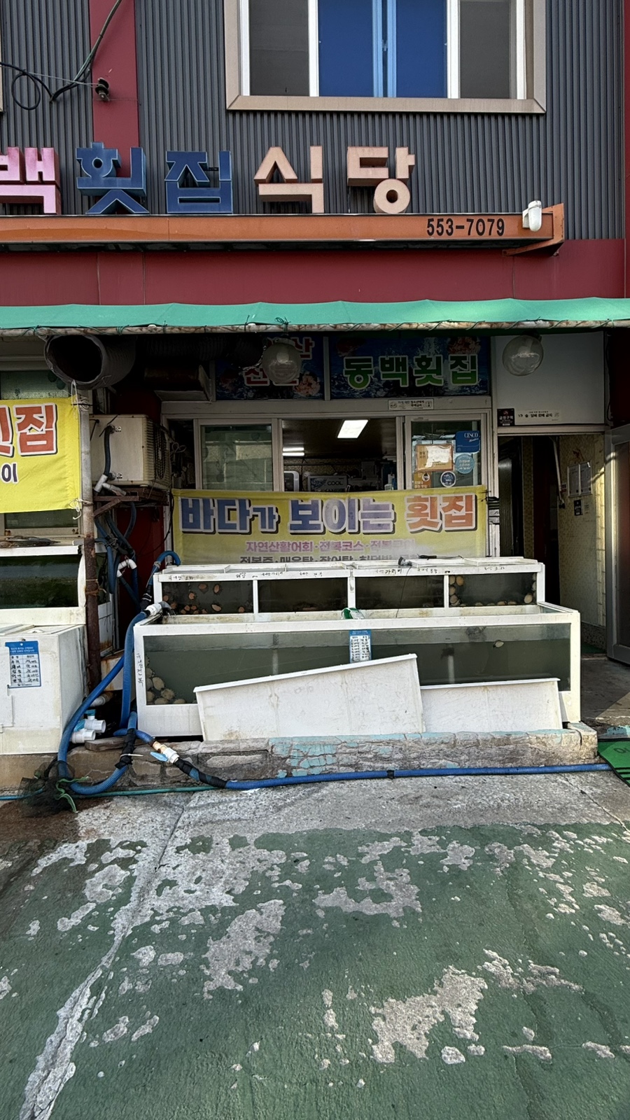 동백횟집식당 사진 3