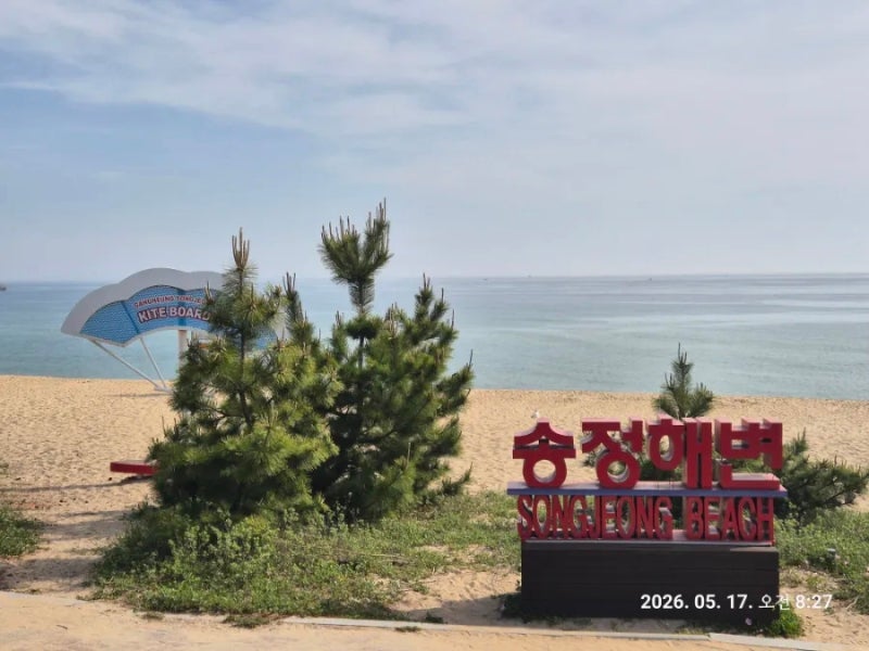 강릉 송정해수욕장 송정해변에서 강문해변 솔밭길 걷기 주차장