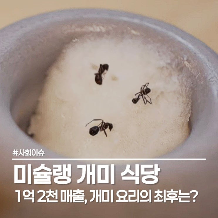  미술랭 개미, 식품위생법 논란 된 에빗 현재 매장 상황은?