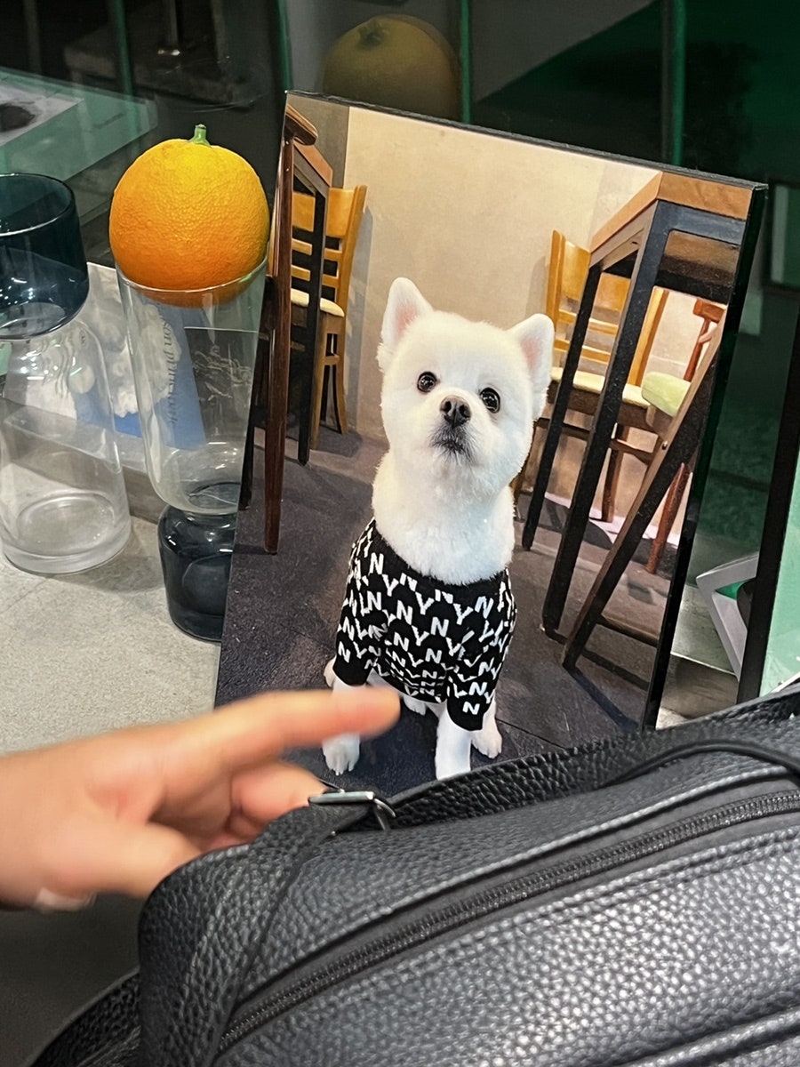 리벌티 사진 6