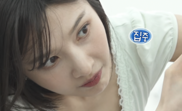  ️ 나혼자산다 조이 애견미용사 자격증 정날 고정 눈물의 반복 연습과 미래 대비 반전 근황