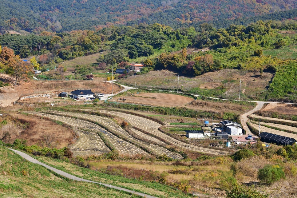 용유지 사진 2
