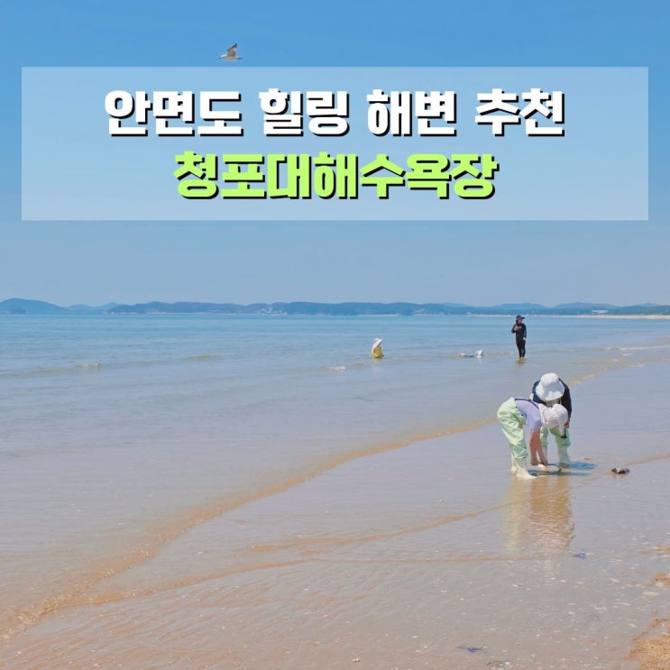  태안 청포대해수욕장 안면도 여행 예쁜 서해안 바다 가볼만한 곳