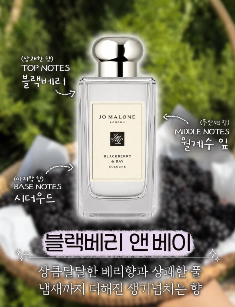 [조말론런던] 블랙베리 앤 베이 코롱 최애향수 향설명