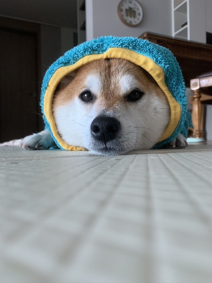 오브케이크 사진 4