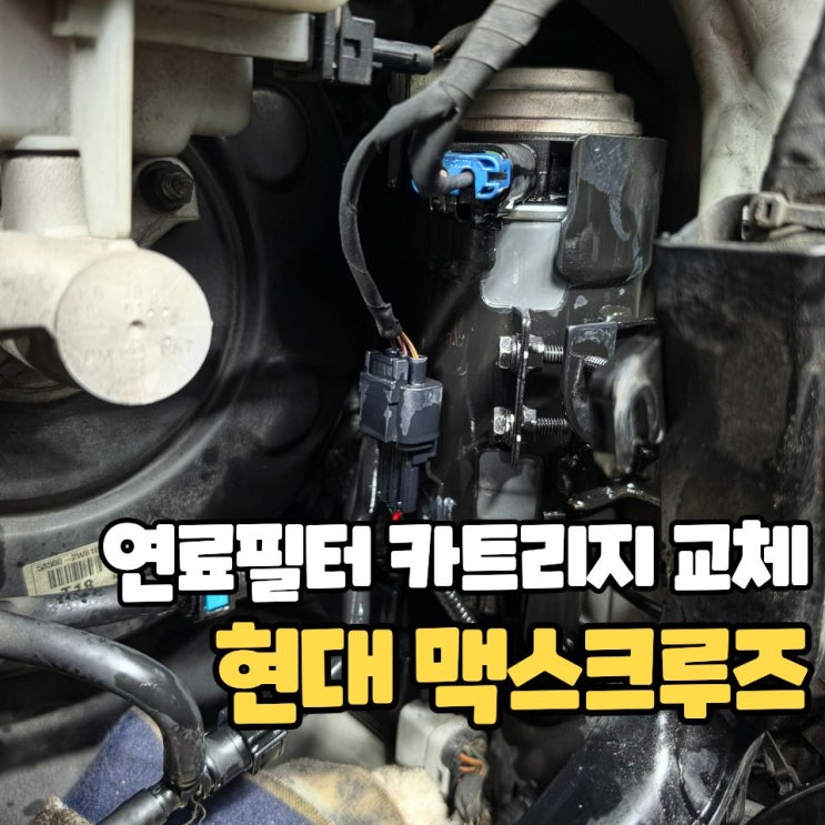  대전 맥스크루즈 연료필터, 카트리지만 교체