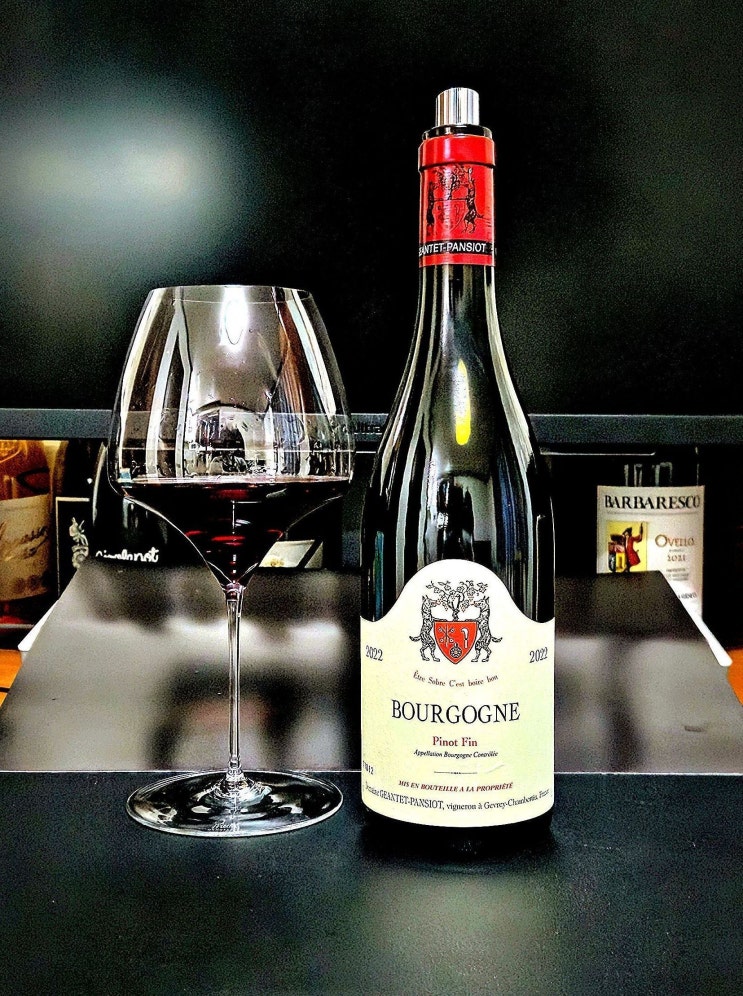  [레드] 쟝테 팡시오 부르고뉴 피노 핀 2022 Geantet Pansiot Bourgogne Pinot Fin 2022 프랑스 피노누아 클론 와인 리뷰