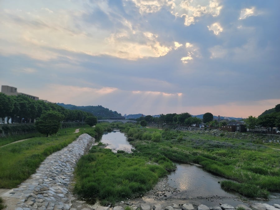 돈쌈냉면 전주대점 사진 6