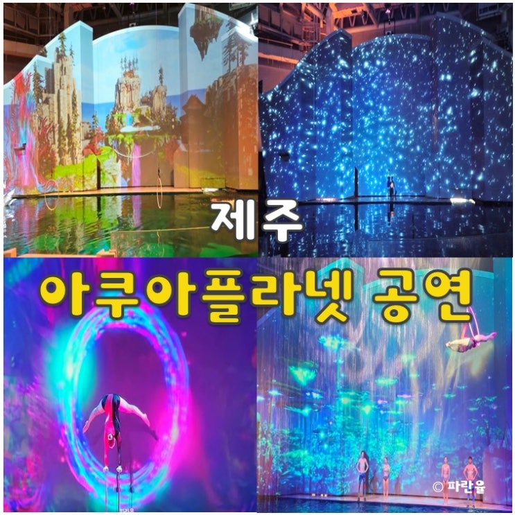  아쿠아플라넷 제주 공연 시간 오션 아레나 실내 가볼 만한 곳