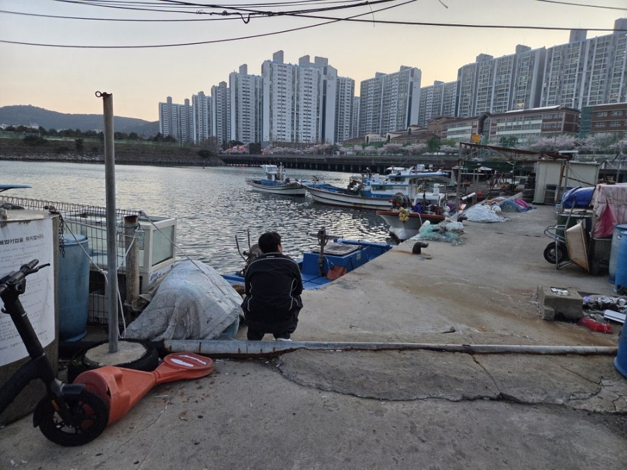 흥광호 사진 4