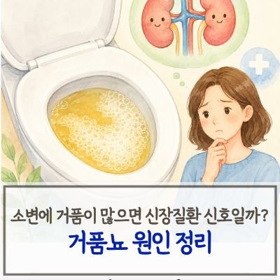 소변에 거품이 많으면 신장질환 신호일까? 거품뇨 원인 정리
