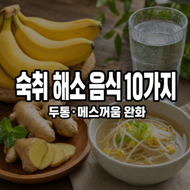 숙취 해소 음식 10가지 | 두통·메스꺼움 완화에 도움 되는 음식