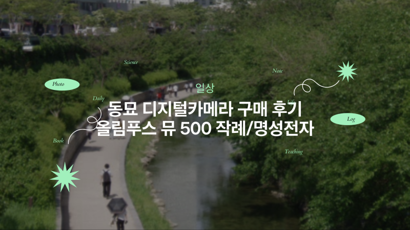 [일상] 동묘 디지털카메라 구매 후기/올림푸스 뮤 500 작례/명성전자