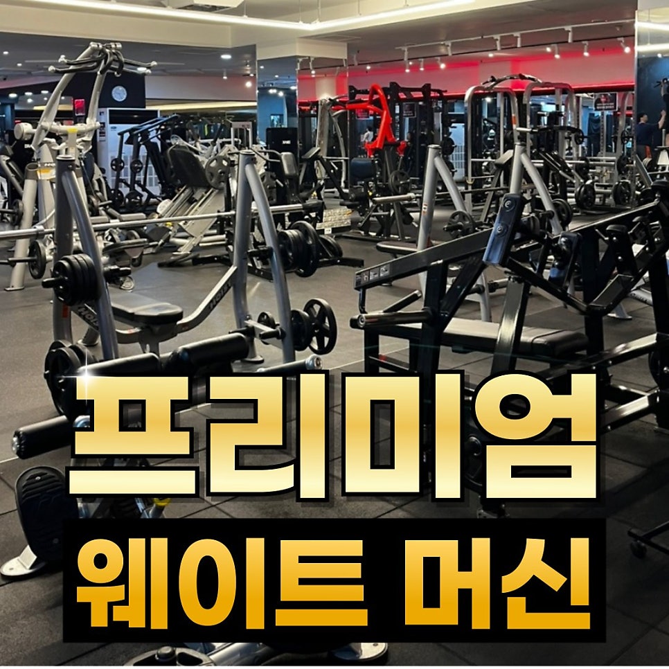 피아트짐 신촌점 사진 2