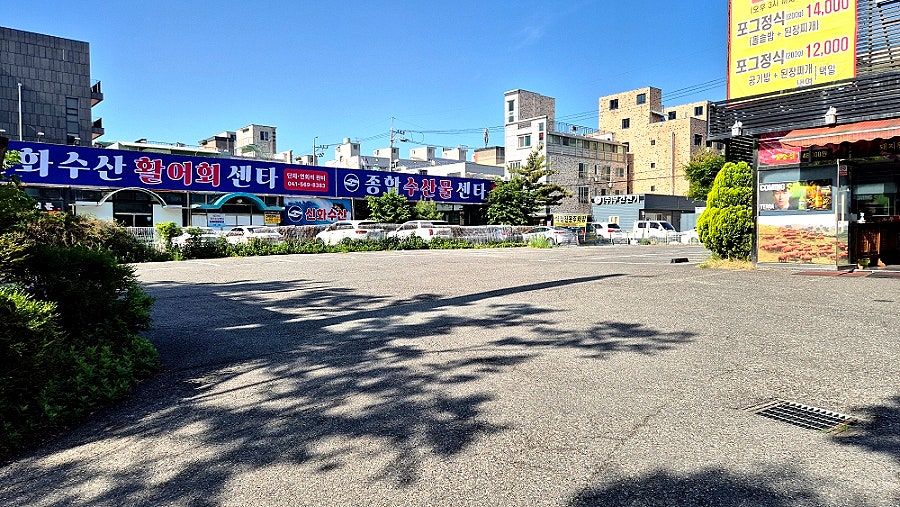 권정화 석정 사진 2