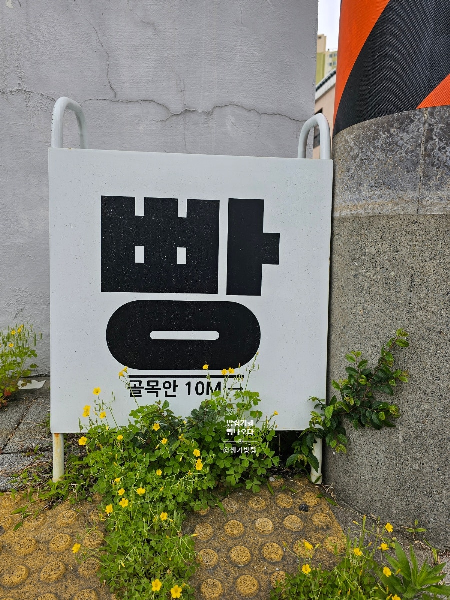 빵나오다 사진 1