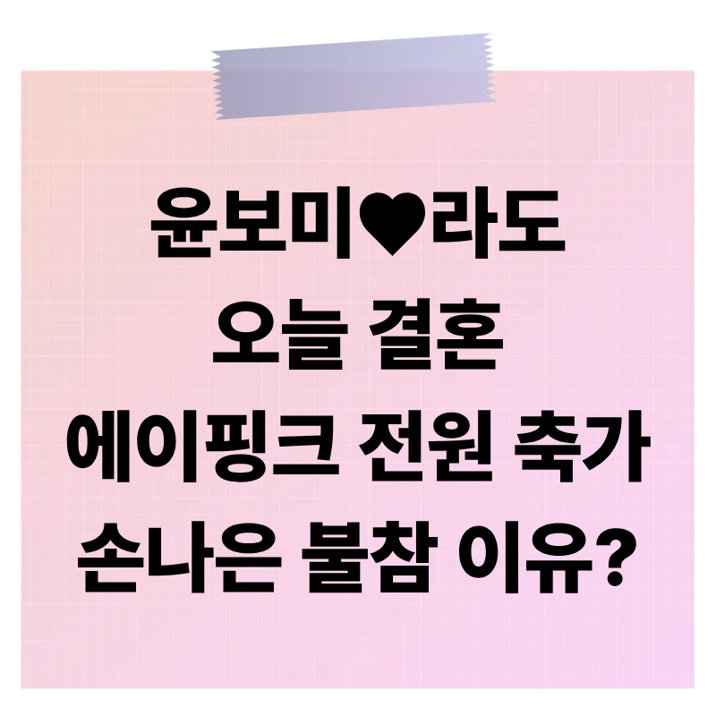 윤보미♥라도 오늘 결혼… 에이핑크 전원 축가인데 손나은만 불참한 이유