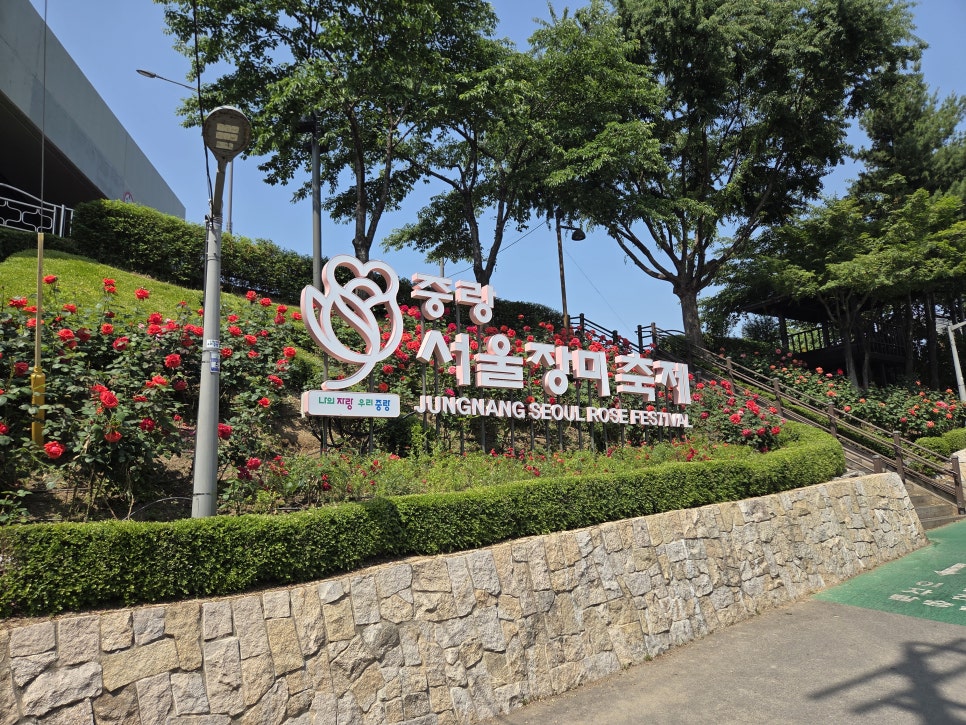 슌락 면목점 사진 2