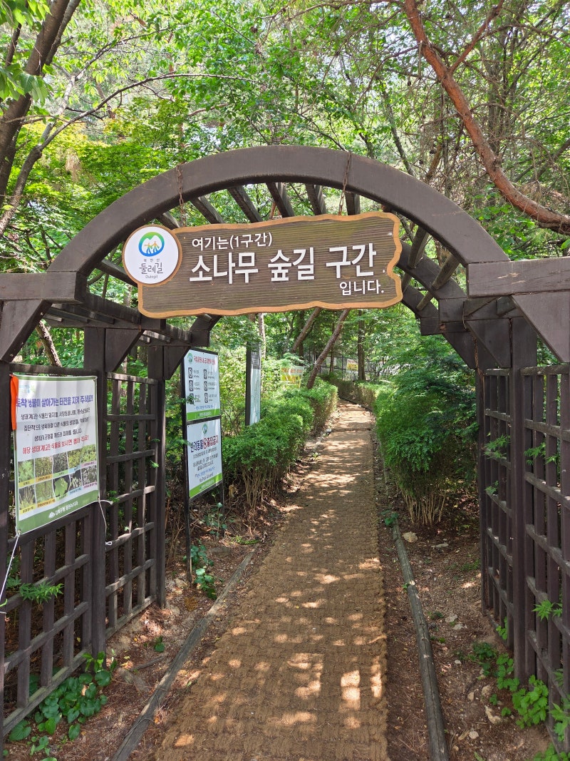 [서울둘레길 #손병희 선생 묘소 #솔밭근린공원] 북한산 둘레길 1구간 소나무숲길을 걷다