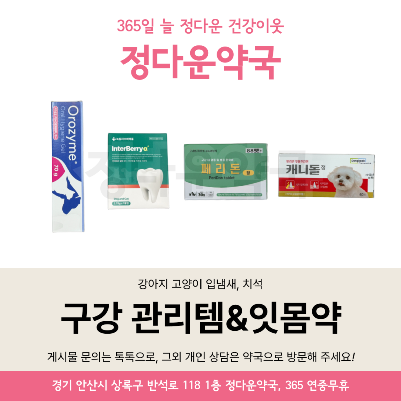 우리 아이 입냄새&치석 비상! 강아지, 고양이 구강 관리템·잇몸약 ㅡ 캐니돌, 페리돈 정, 인....